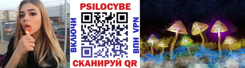 где купить наркоту Торжок Псилоцибиновые грибы Magic Shrooms