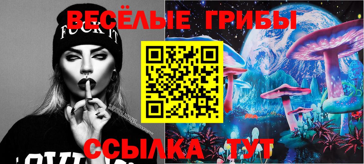 Галлюциногенные грибы MAGIC MUSHROOMS  Торжок 