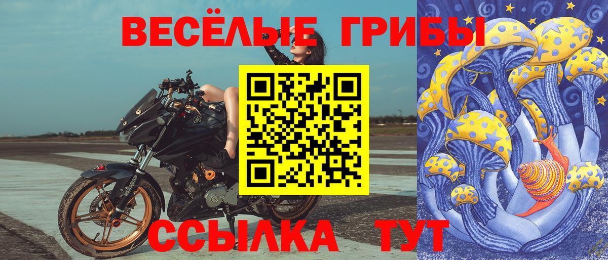 Галлюциногенные грибы мухоморы Торжок