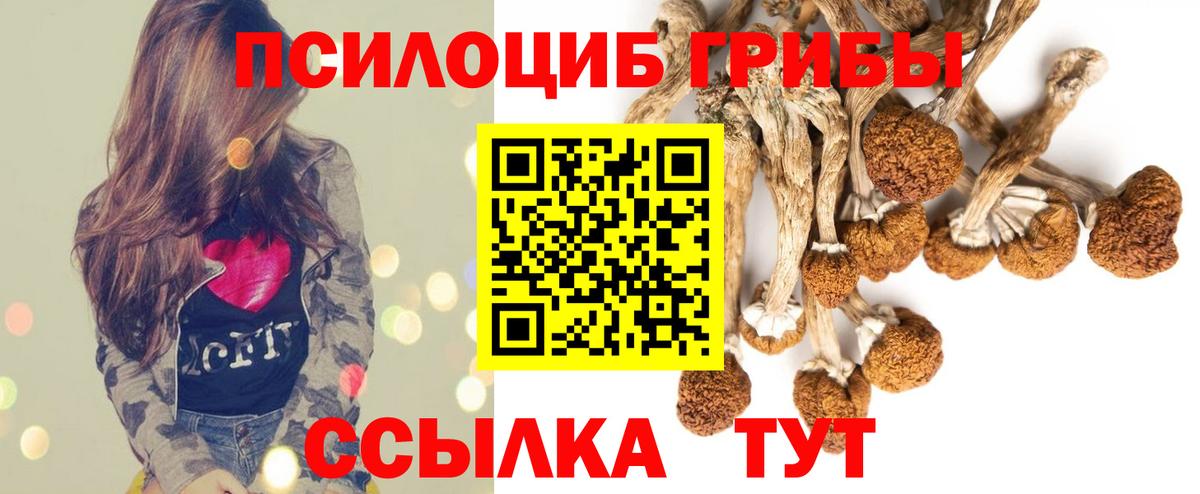 Псилоцибиновые грибы Magic Shrooms  Вход с VPN  Торжок 